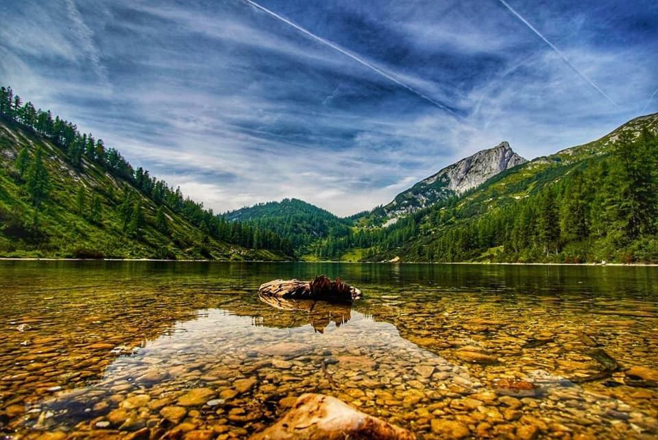 Апартаменти Popp'N Angerl Таупліц Екстер'єр фото